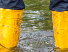 De plus en plus de dégâts d’eau