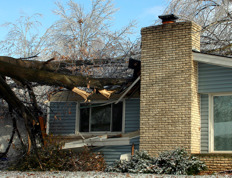 « Acts of God » et assurance: êtes-vous protégé?